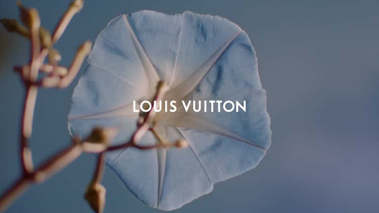 Playera Dreaming Of Louis Vuitton