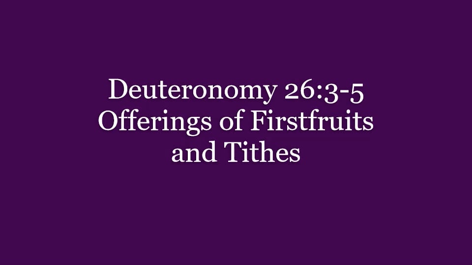 247 Deuteronomy 26.3-5 Offerings of Firstfruits and Tithes.mp4 on Vimeo