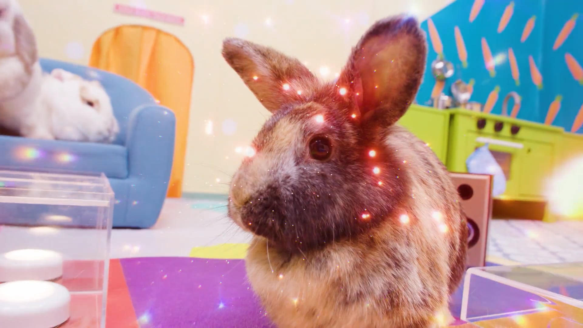 KitKat Ep 5 Big Bunny Hutch 169 MASTER (With Disclaimer) on Vimeo