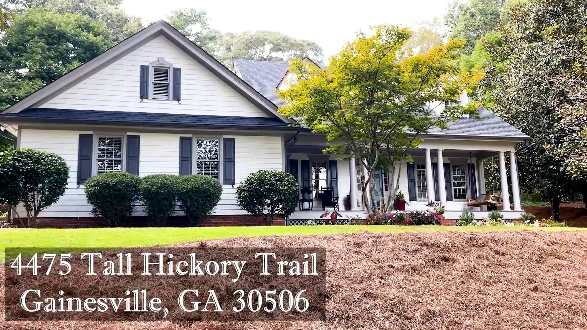 4475 Tall Hickory Trail, Gainesville, GA 30506 Living Stone