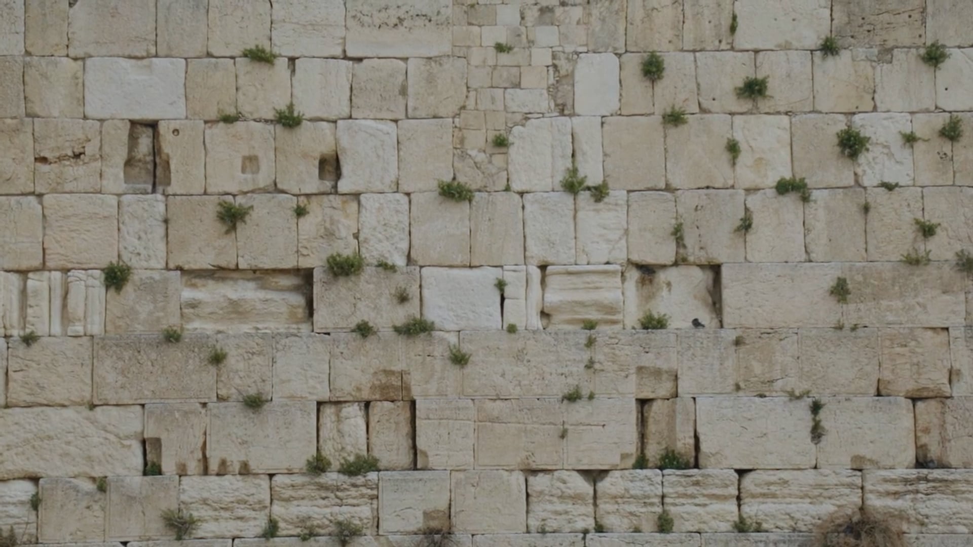 barMitzva