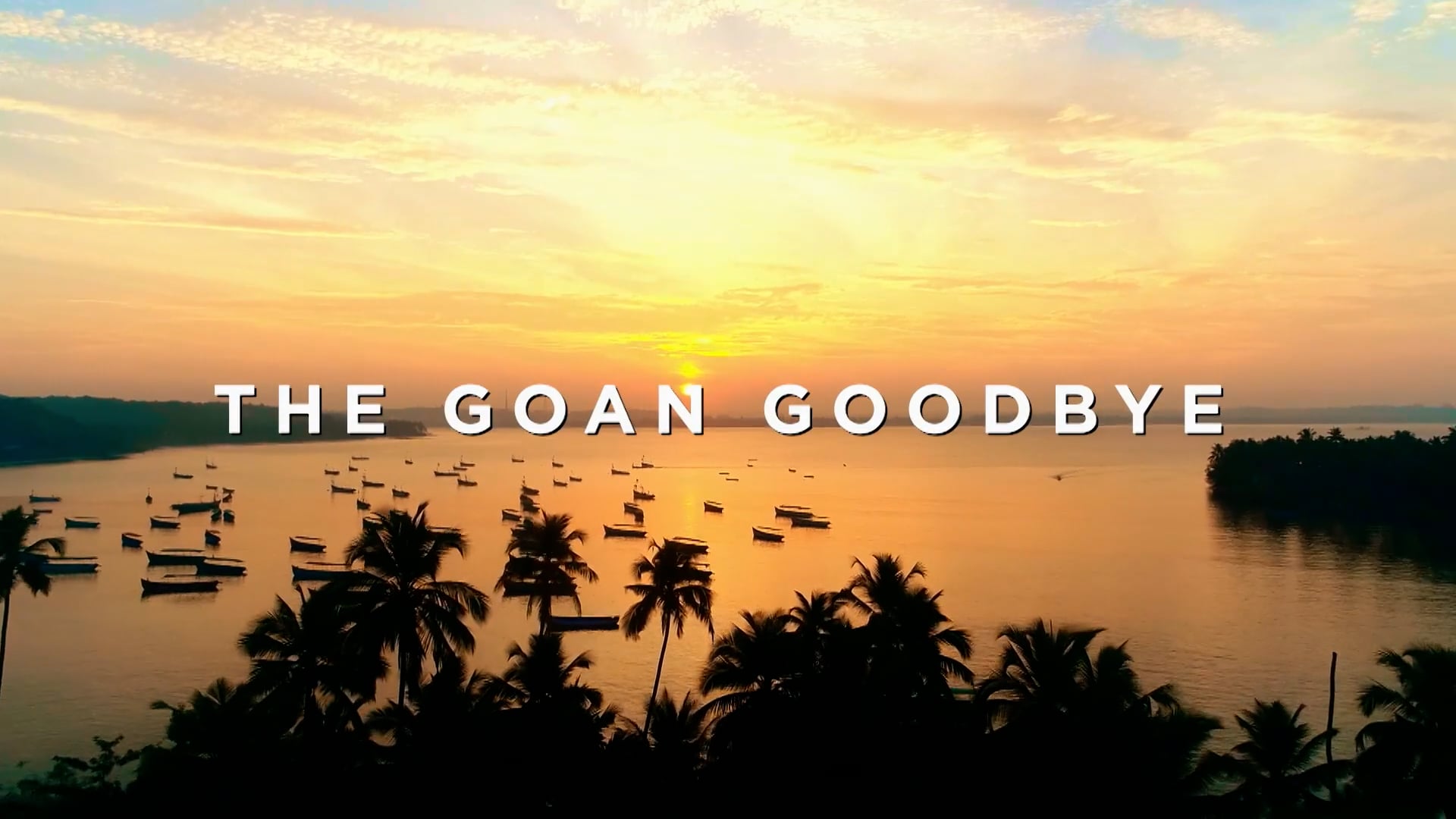GOAN GULLIES X SCUBA DIVING