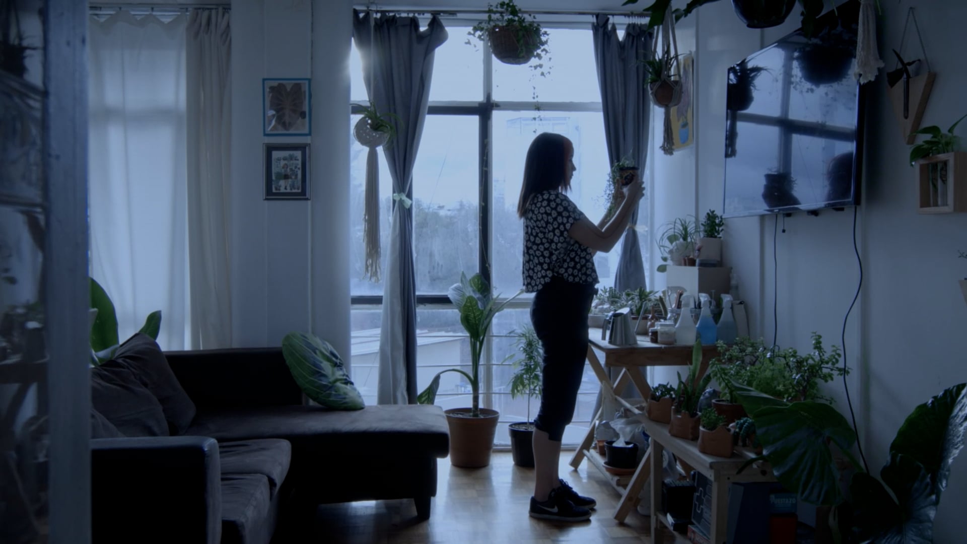 chavitalocadelasplantas