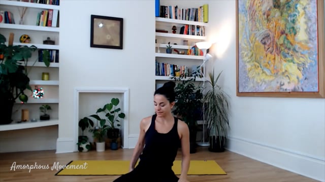 Playful Flow class.mp4