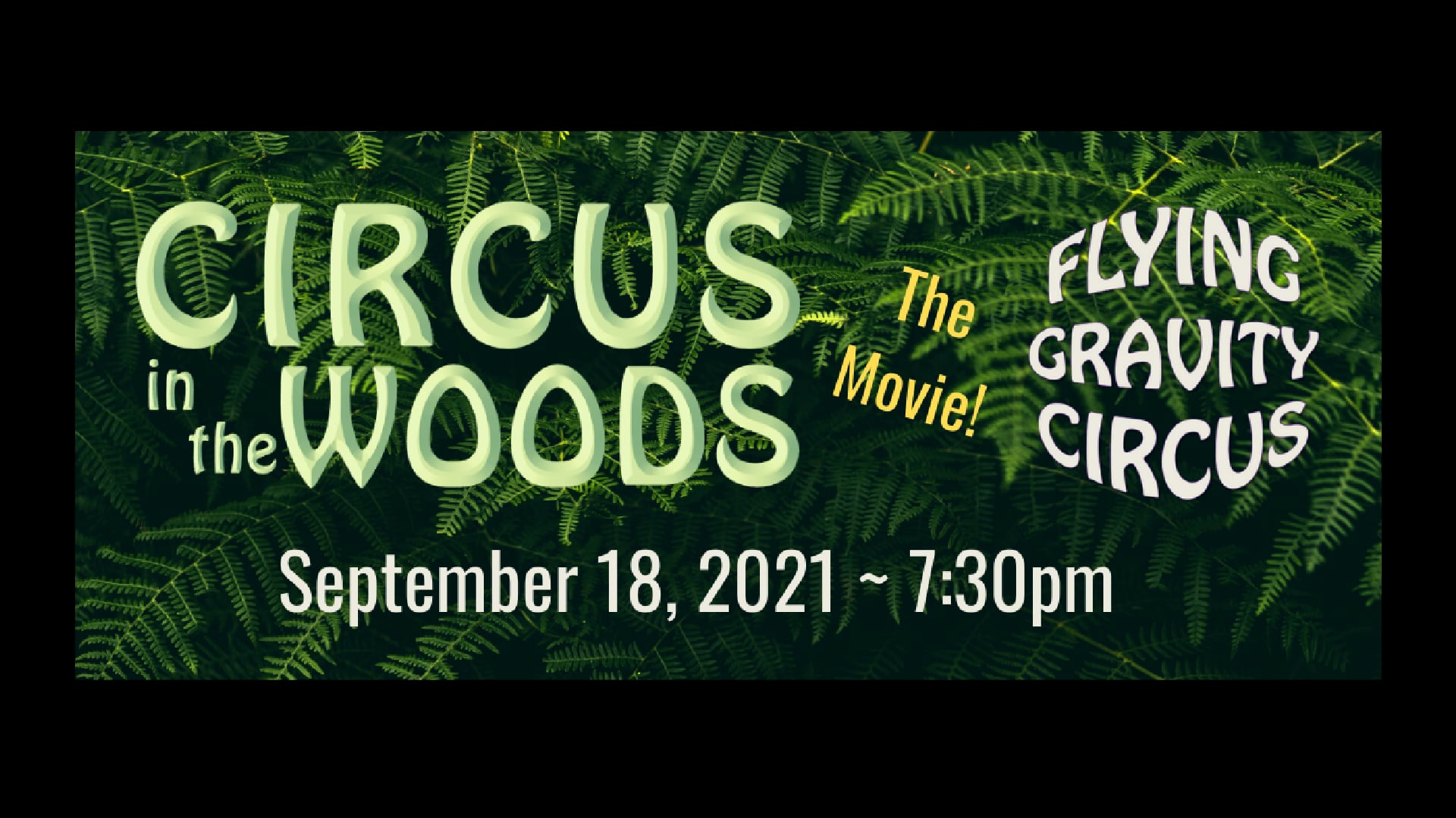 Circus In The Woods