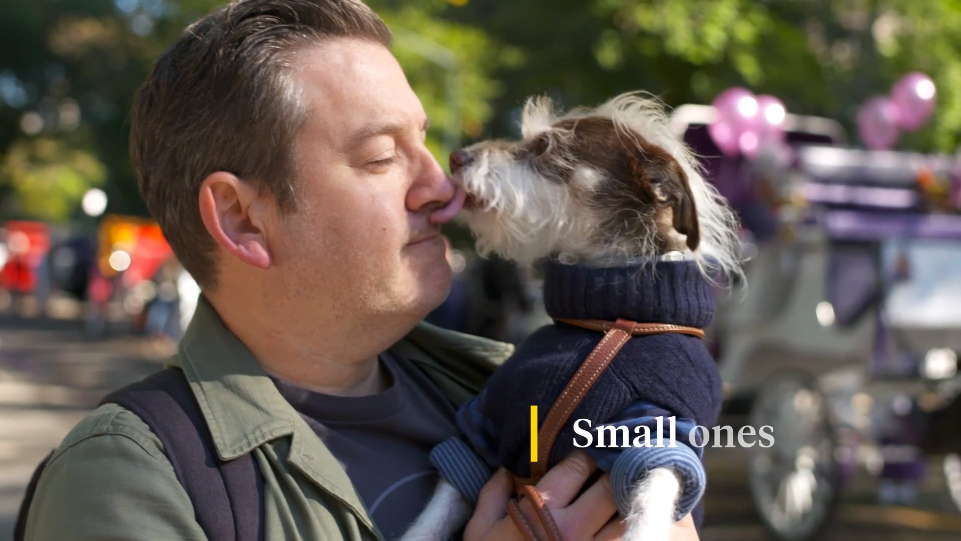 National Geographic | Orivet | Know your dog