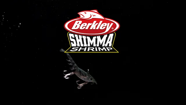Introducing Shimma Shrimp