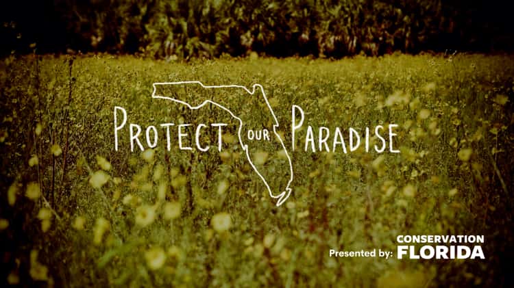 Paradise, Official Trailer