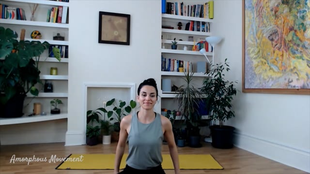 Twist Flow class.mp4