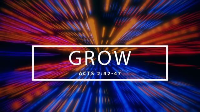 Week 5 | Ignite: Grow | Paulo Gatan