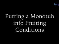 Putting your Monotub in Fruiting Conditions