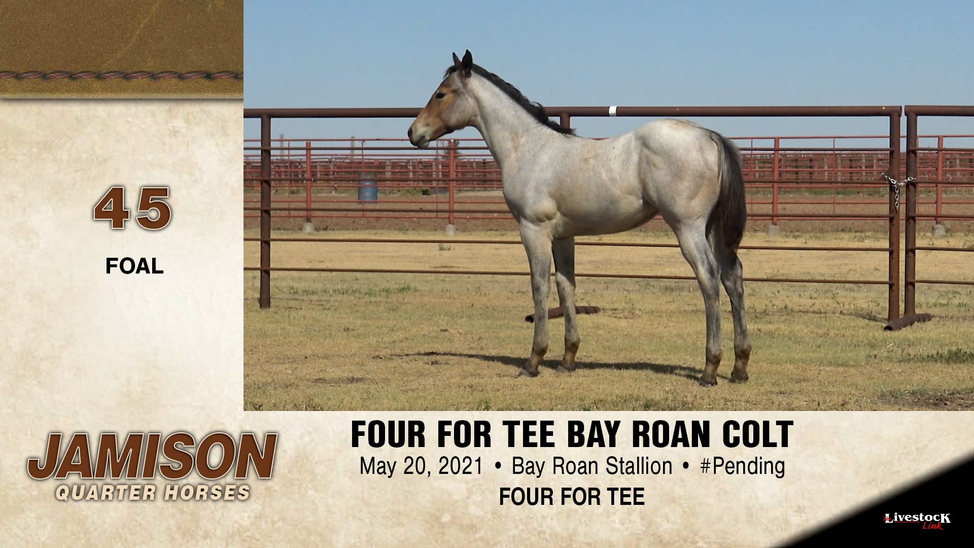 Jamison Ranch - Lot 45 on Vimeo