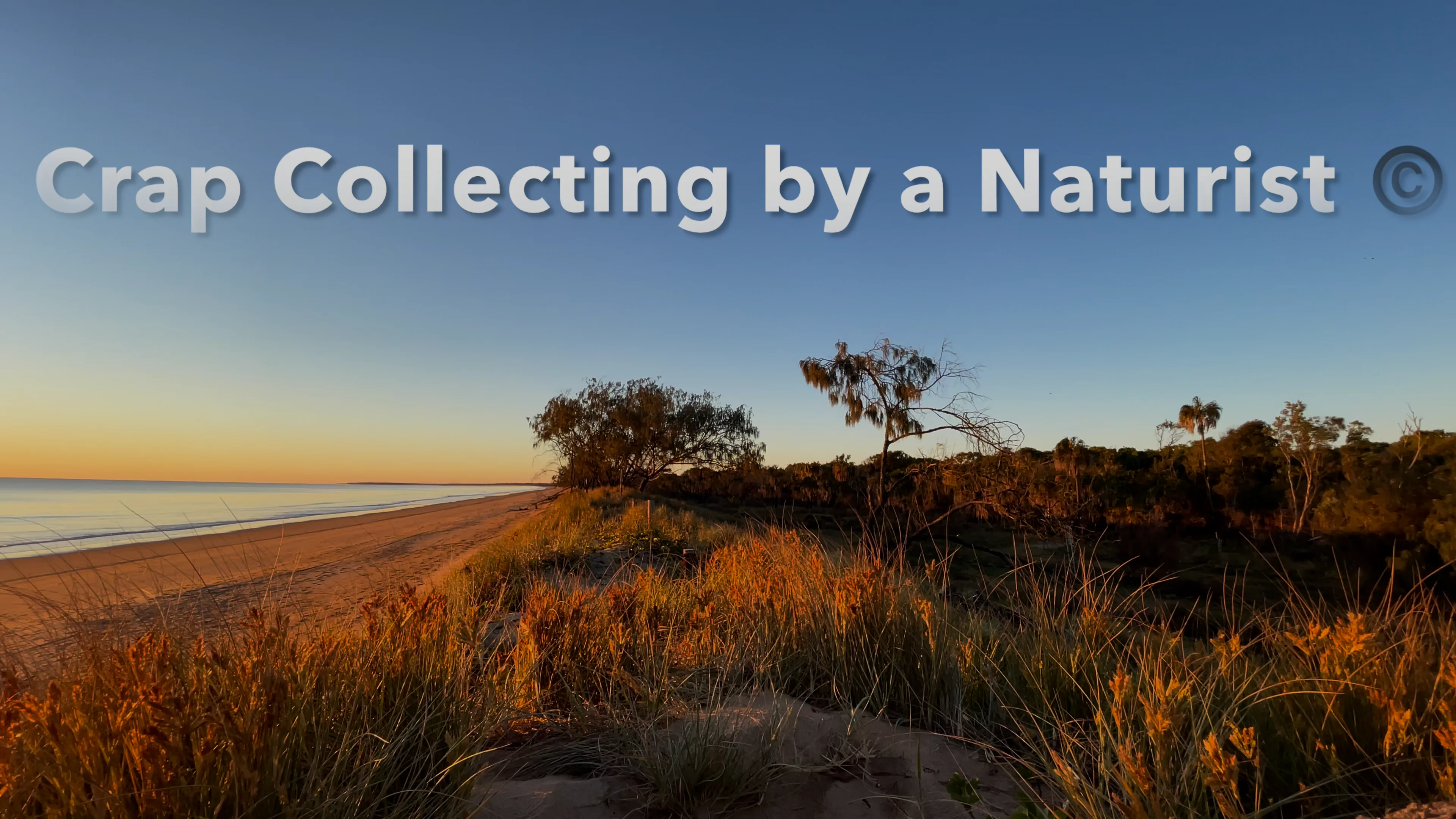 Crap Collecting by a Naturist on Vimeo