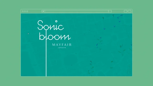 Sonic Blooming Leggings – iEDM