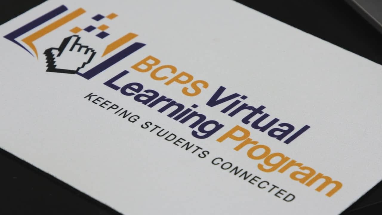 Virtual Learning Program on Vimeo