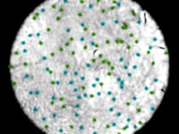 Newswise:Video Embedded engineering-researchers-develop-new-explanation-for-formation-of-vortices-in-2d-superfluid