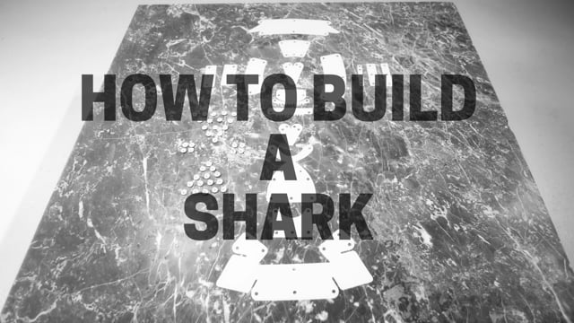 Shark Building Kit video thumbnail