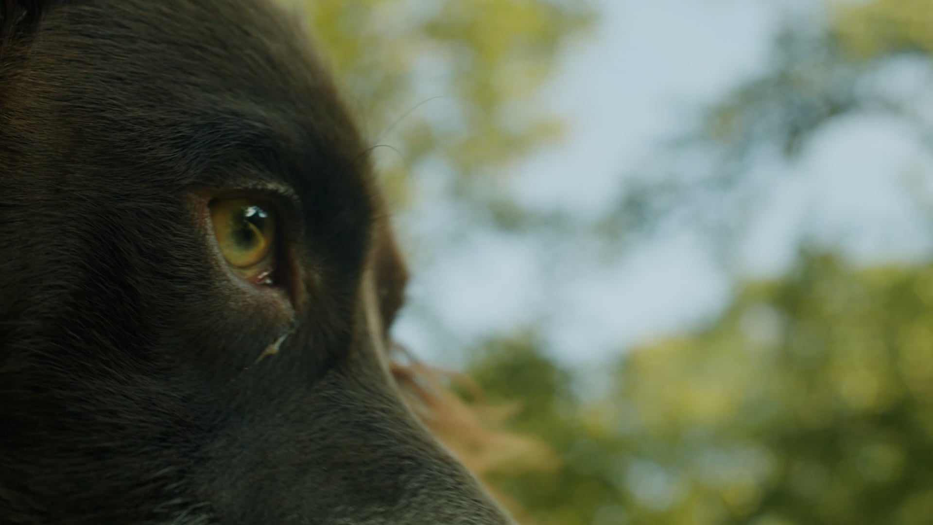 Eigen werk | Kimswerd