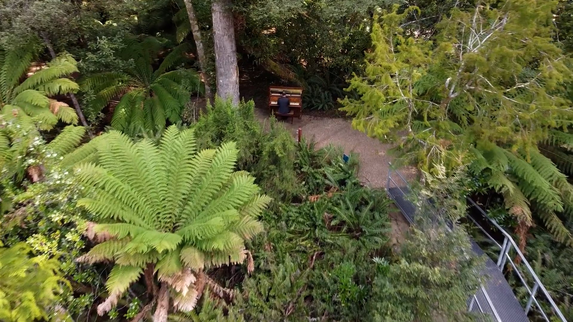A Piano of Tasmania - Huon Hymn