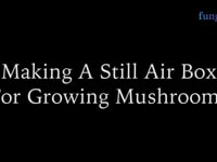 Making a Still Air Box for Mushroom Cultivation