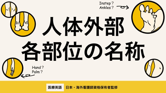 医療英語シリーズ02 人体各器官の名称 体の部位の名称をどこまで英語で言えますか 全ての医療英語シリーズの土台とも言えるシリーズです Medistudio