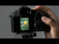 1.3 Sony Camera Overview