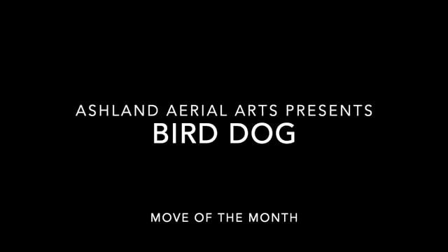 Move of the Month: Bird Dog