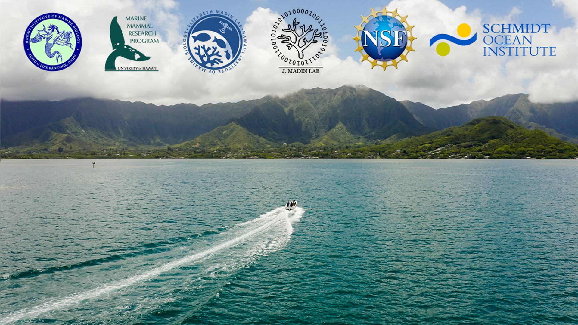 Hawaii Institute of Marine Biology Summer Program