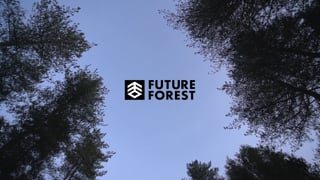 Future Forest  Moors Valley project