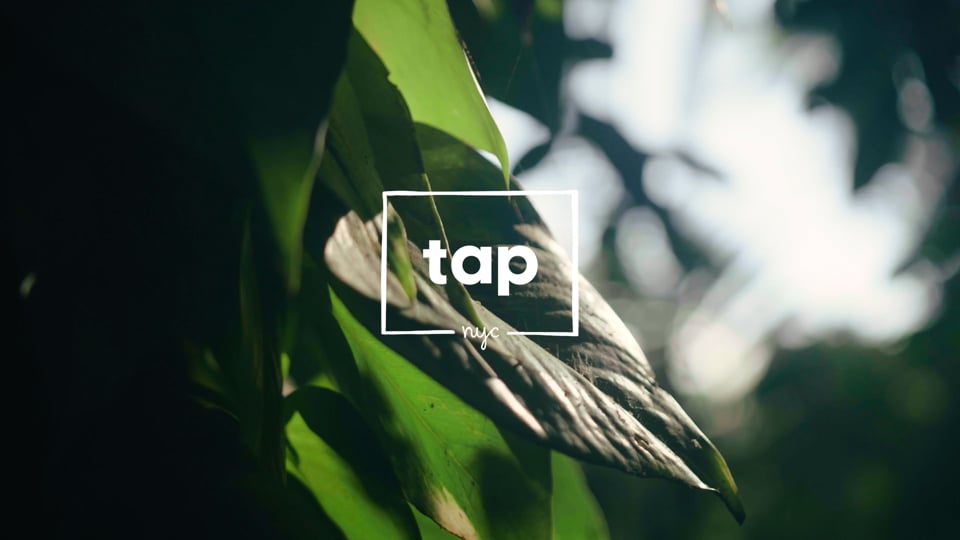 TAP - Supporting Local Communities