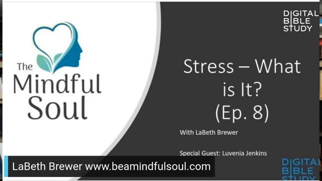 The Mindful Soul - What is Stress - Ep 7
