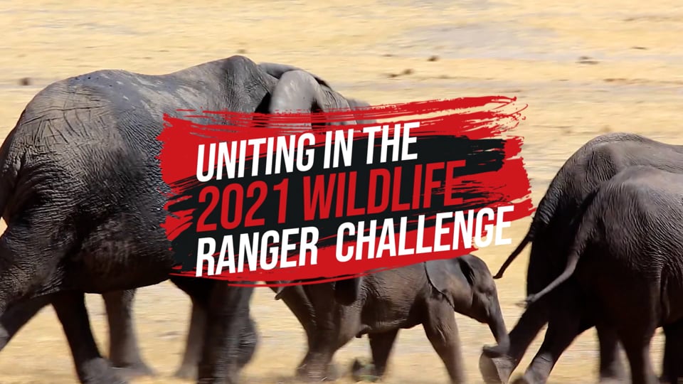 Wildlife Ranger Challenge - 2021 Wrap Up
