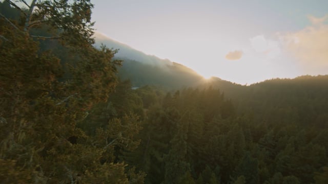 Natural Skyscrapers