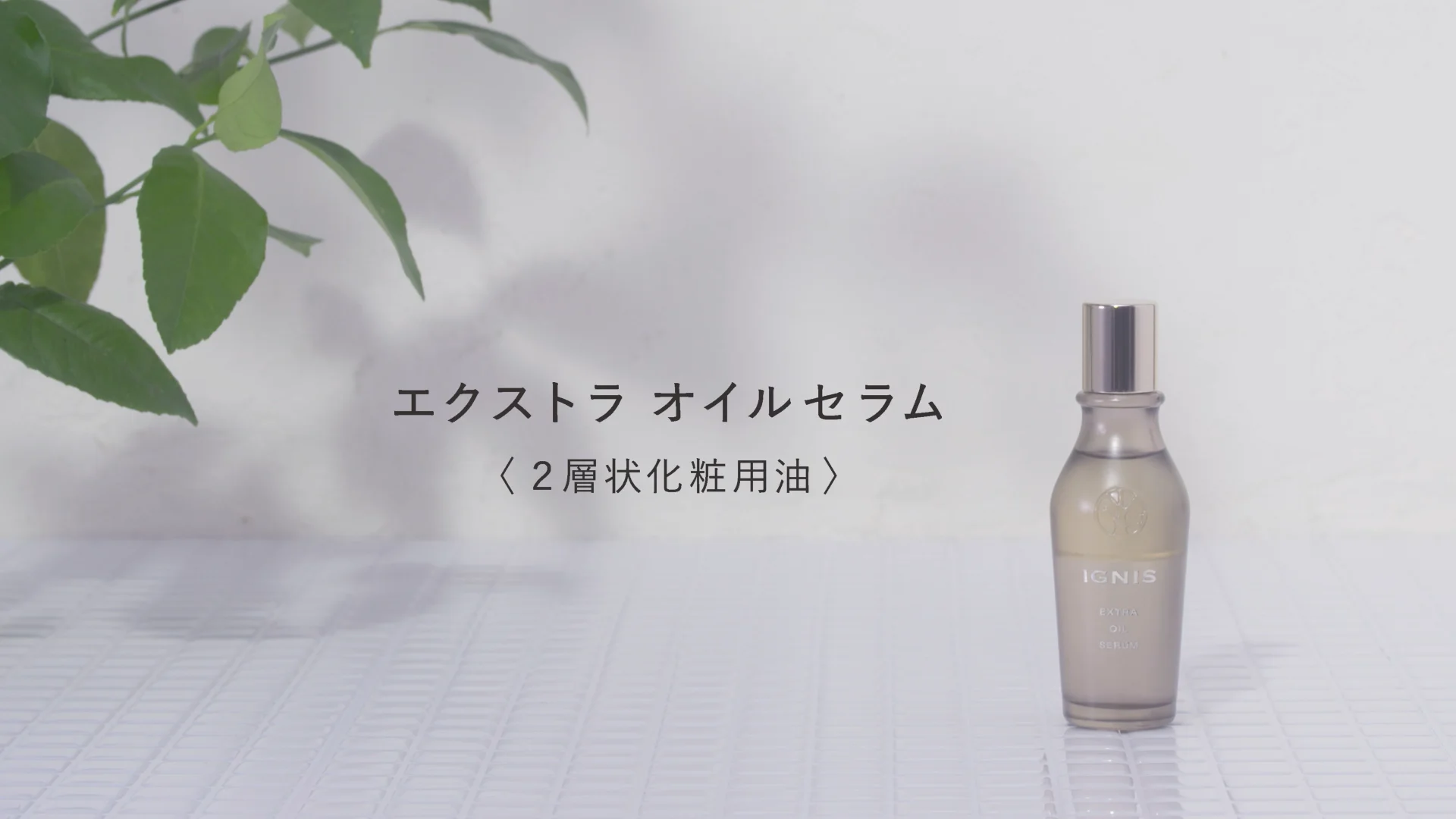 IGNIS エクストラオイルセラム 50ml イグニス エクストラ オイルセラム