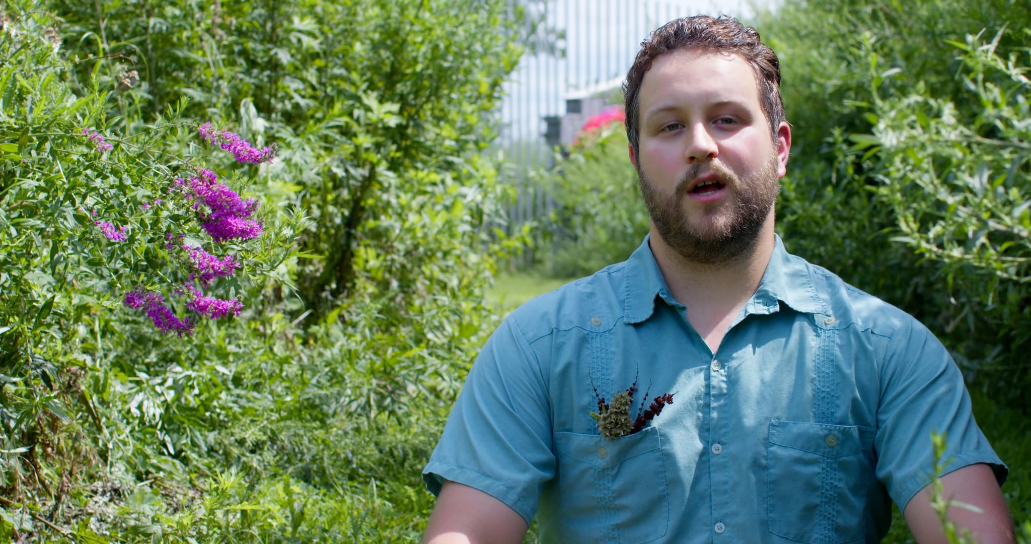 Whitman_Calamus_10 on Vimeo