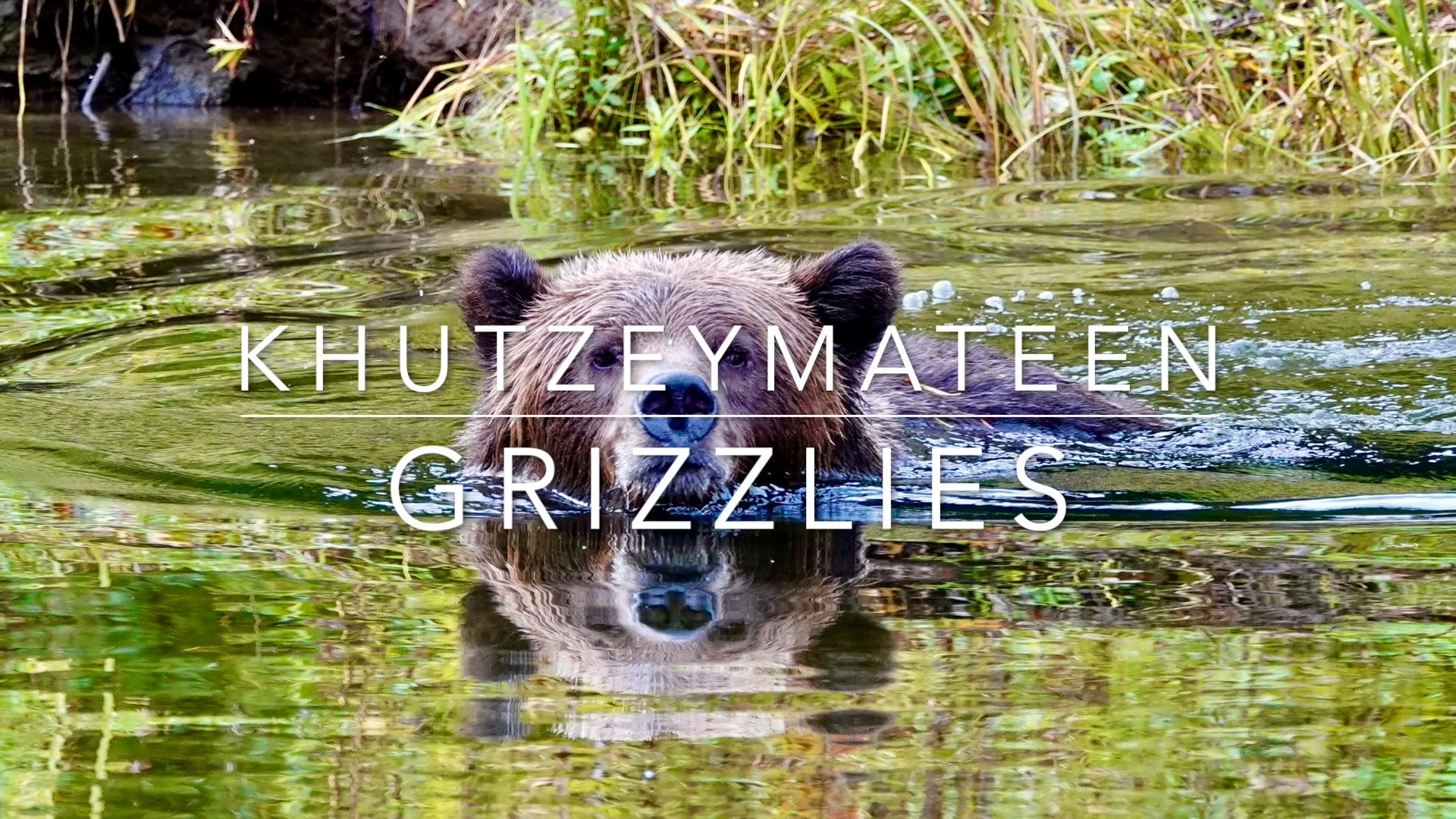 Khutz Grizzles