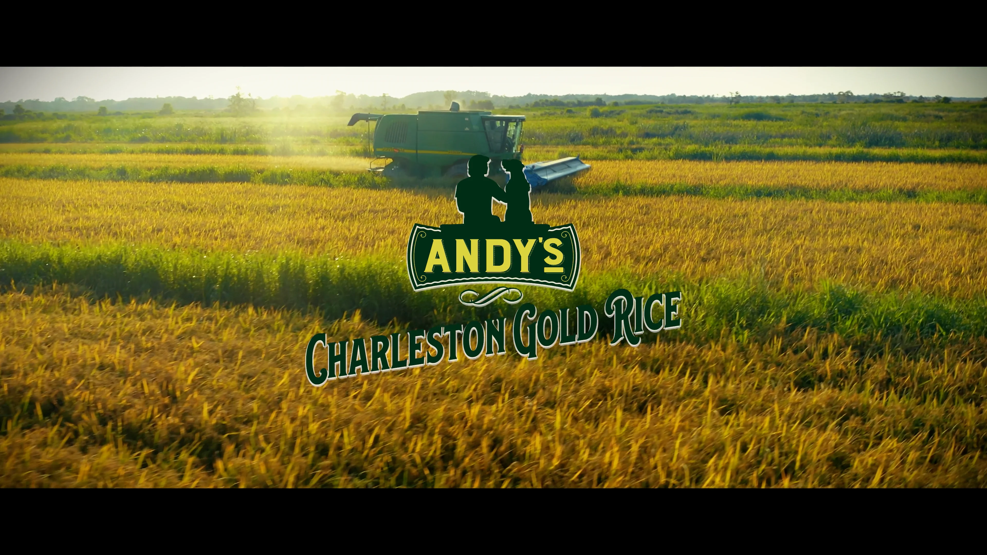 The Best Tasting Rice You've Ever Had Andy's Charleston Gold Rice