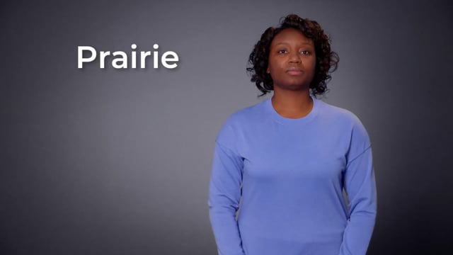 Prairie | SEE Signs ESC Region 13