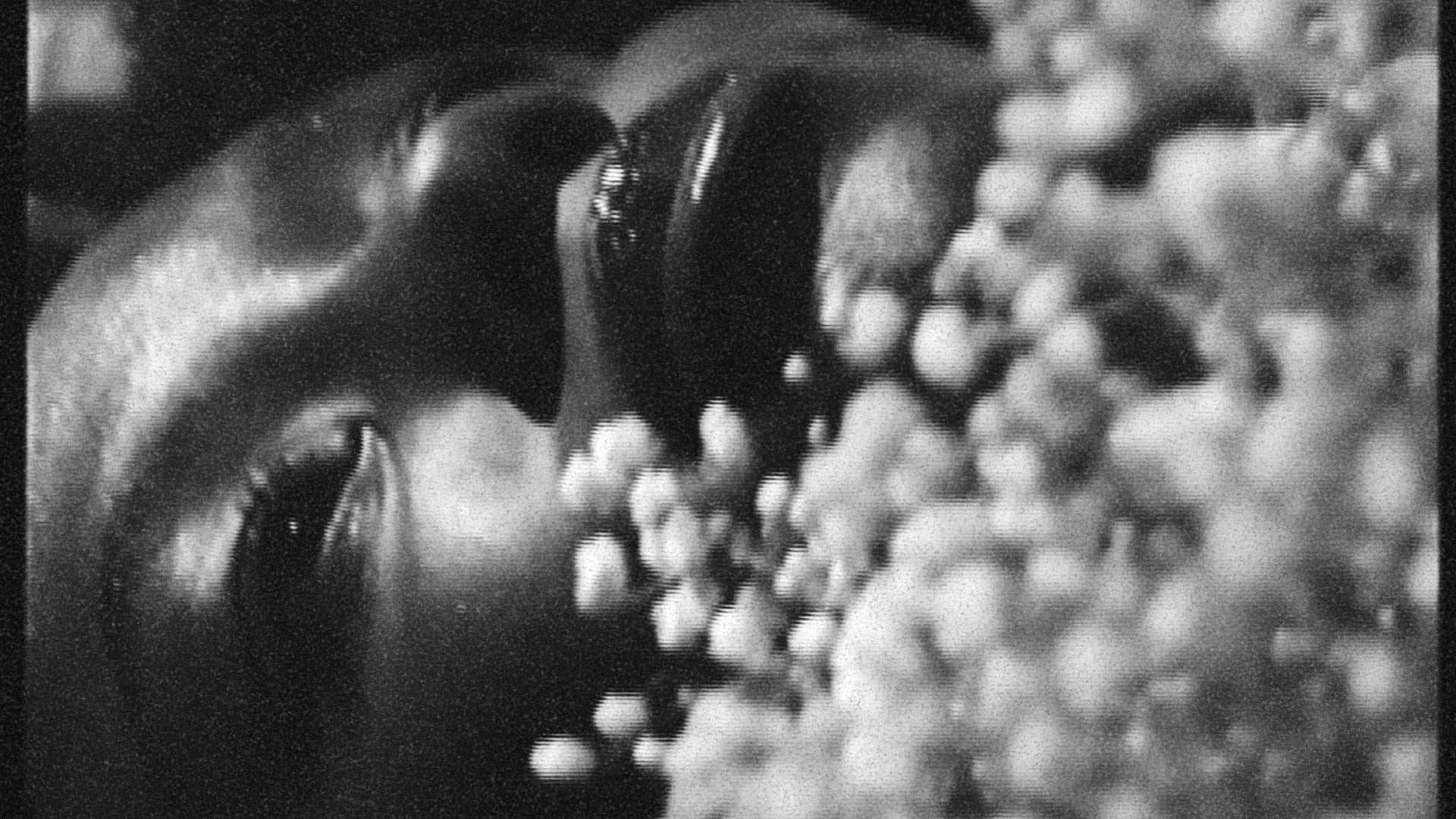 New Moon - [Fashion Film]