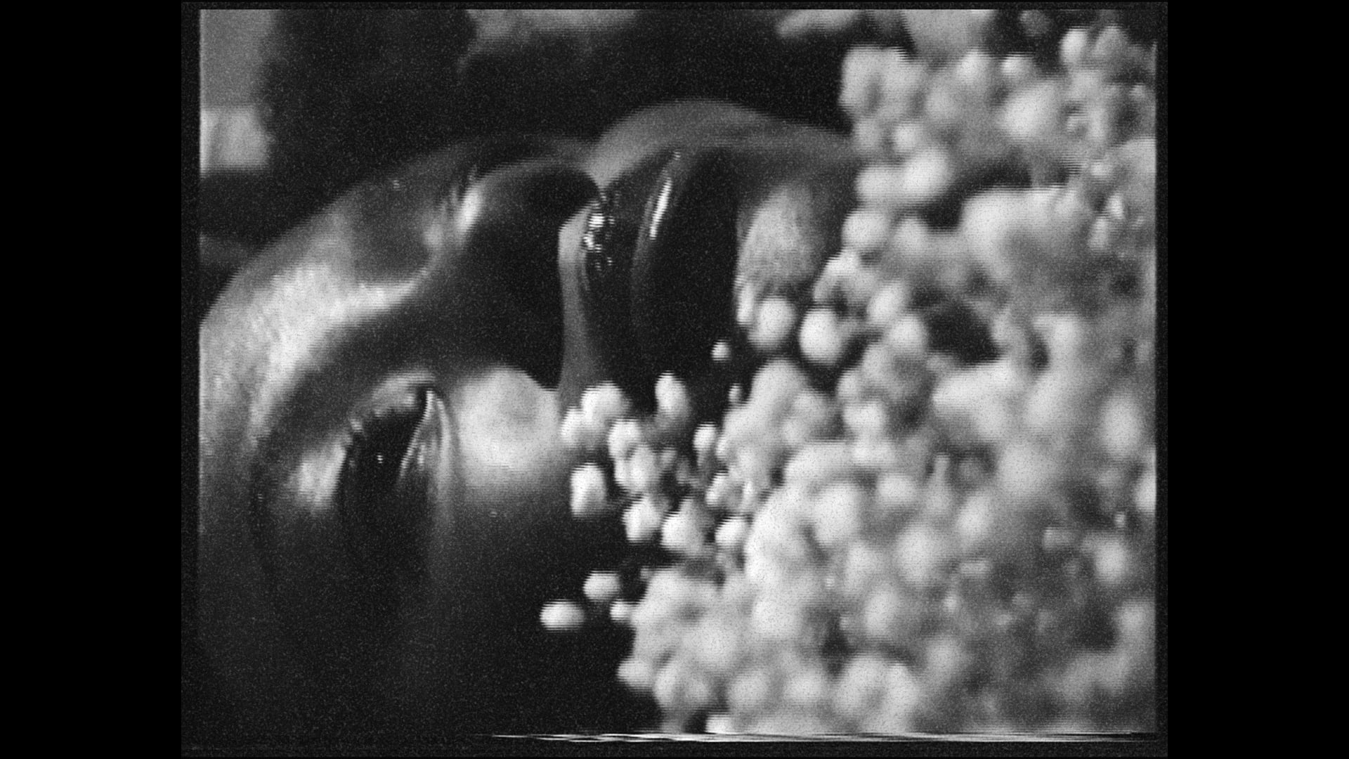 New Moon - [Fashion Film]