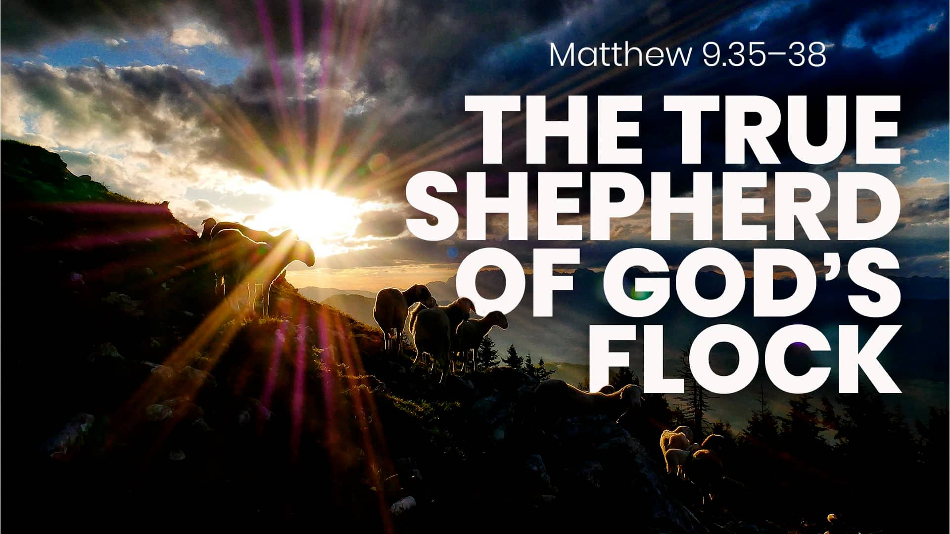 The True Shepherd of God's Flock (Matthew 9:35-38 - Sunday 09-26-2021 ...