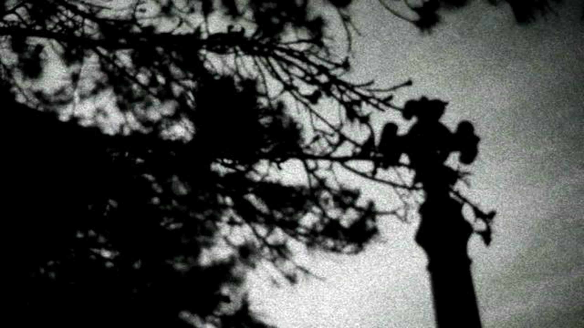Mychildren Mybride — Terra Firma