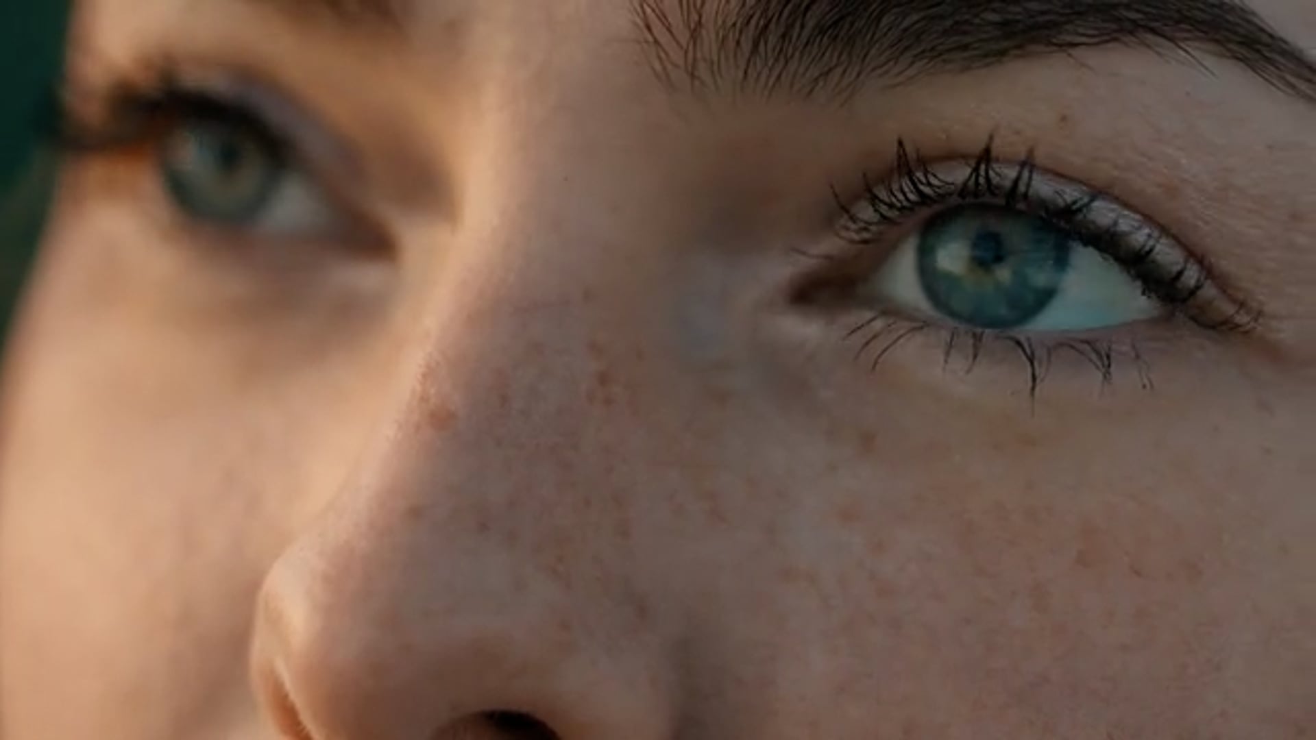 İş Bankası - Geleceğe Orman Filmi