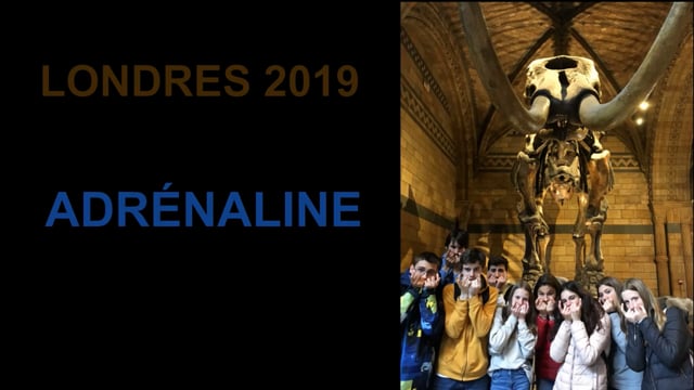 Adrénaline
