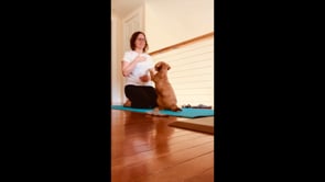 Meditation with Piper :-)