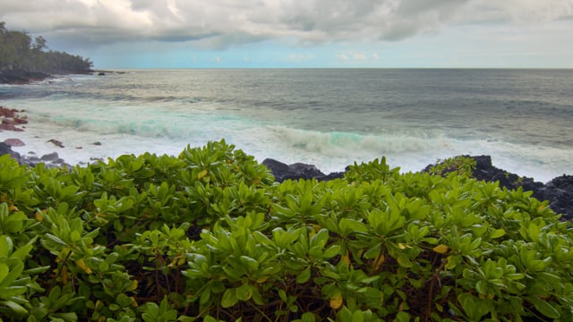 Oceanfront Views of the Big Island, Laupahoehoe Point Beach Park