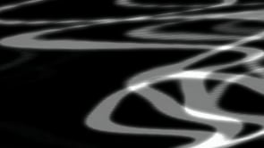 Togninis Hair Skin Body - Customer Success Story