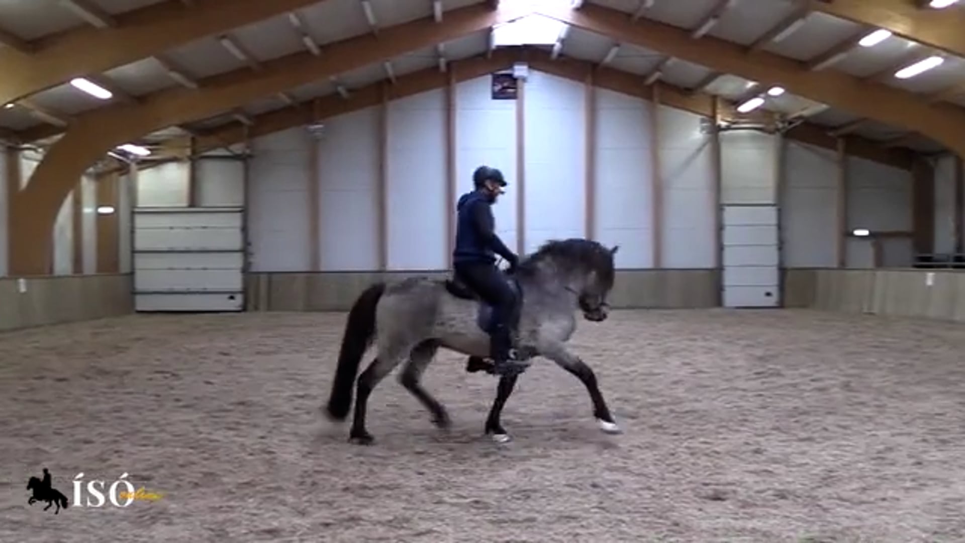 Training Trot, activating the Hindquarters