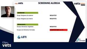 Caso clínico - Alergia Alimentaria Felina
