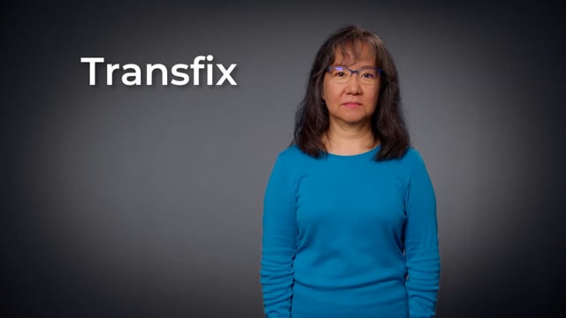 Transfix | SEE Signs ESC Region 13